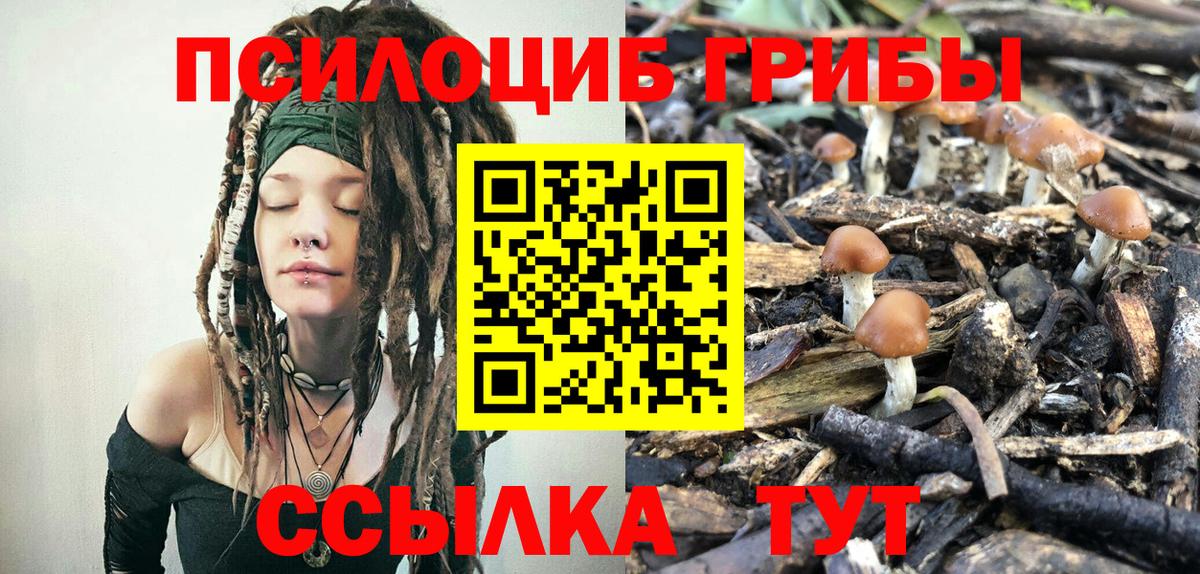 Галлюциногенные грибы Psilocybine cubensis  купить   Солнечногорск  Вход с VPN 