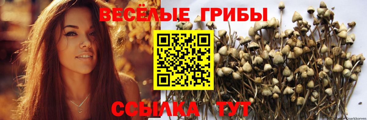 Псилоцибиновые грибы GOLDEN TEACHER Солнечногорск